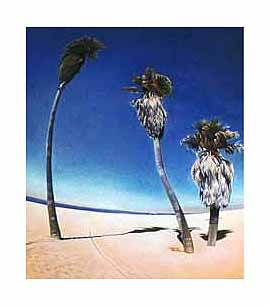 3palms35.jpg